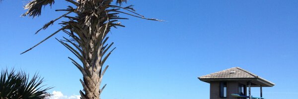 Riftcol Profile Banner