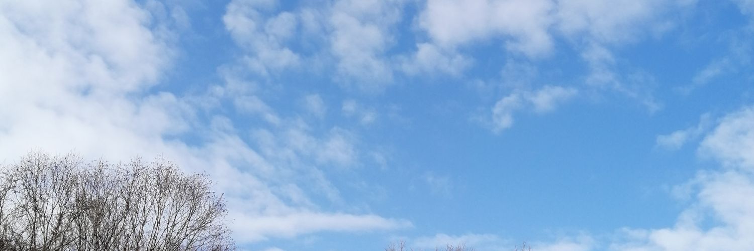 ori2rainbow1's profile banner image