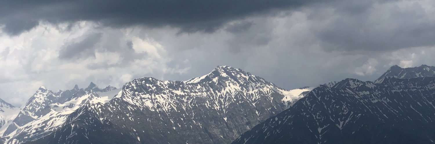 ⚔️ SHERDIL🇵🇸 banner