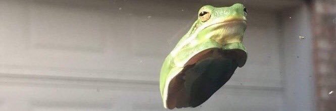 katecone21's profile banner image