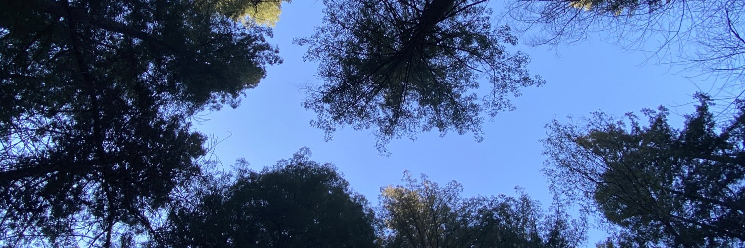 baeleiwiesner's profile banner image