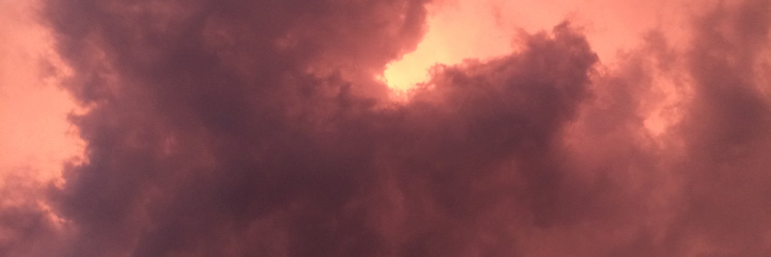 baileymcgrath17's profile banner image
