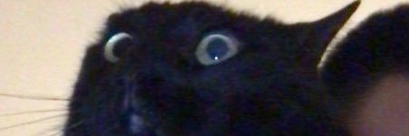dickwristoh's profile banner image