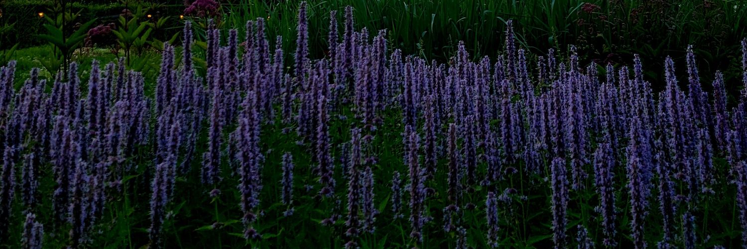 em_heiston's profile banner image