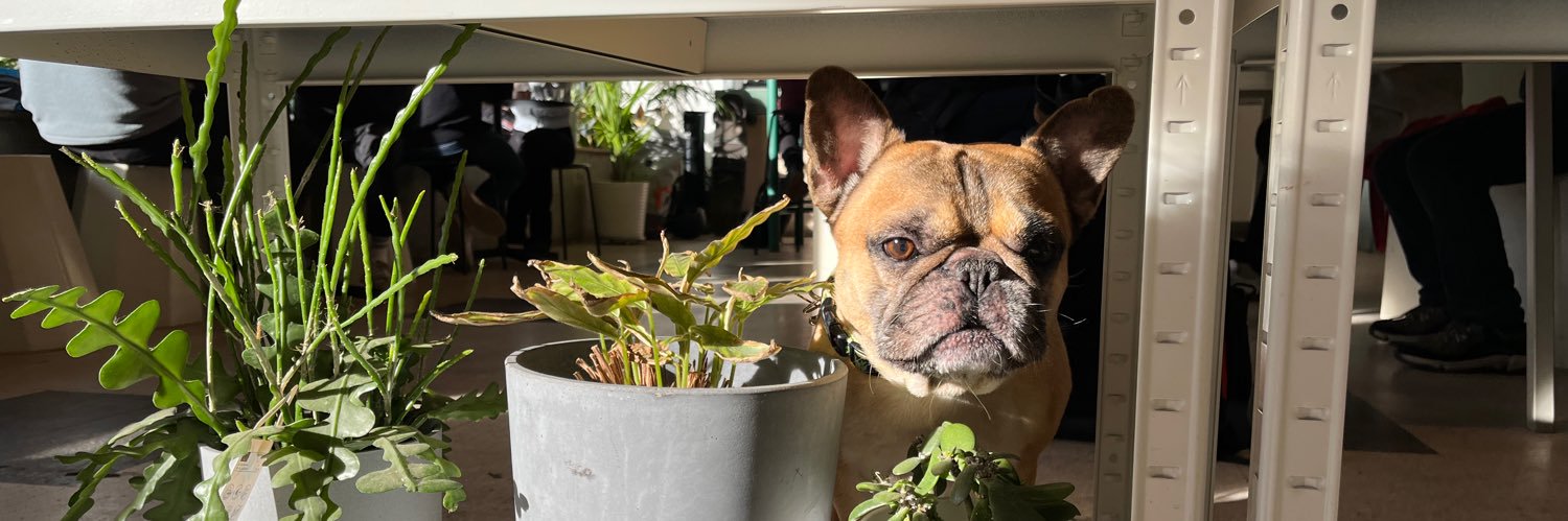 Stephan Seiler banner