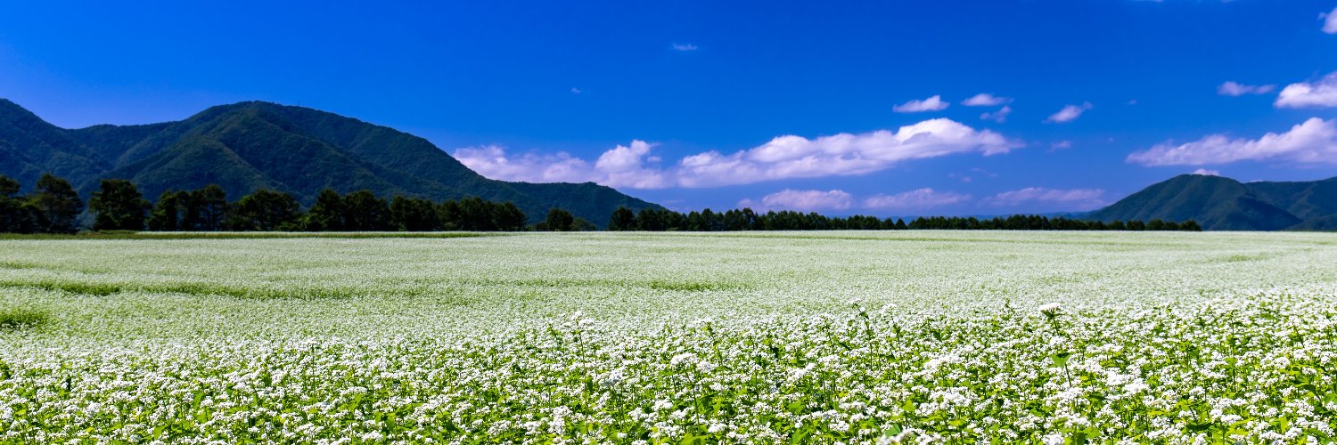くろふね banner