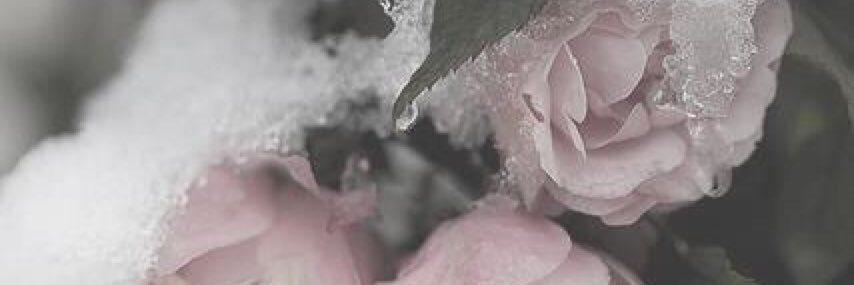 ashhbuch_'s profile banner image
