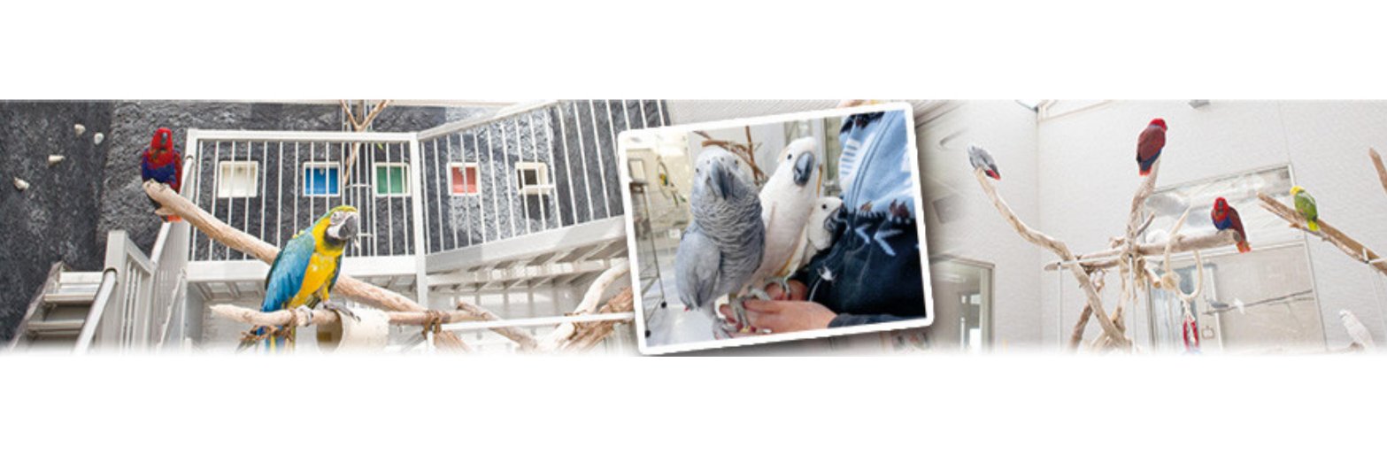 認定NPO法人TSUBASA -新施設クラファン達成しました！- banner