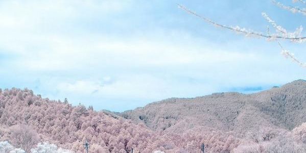 AvalynChao's profile banner image
