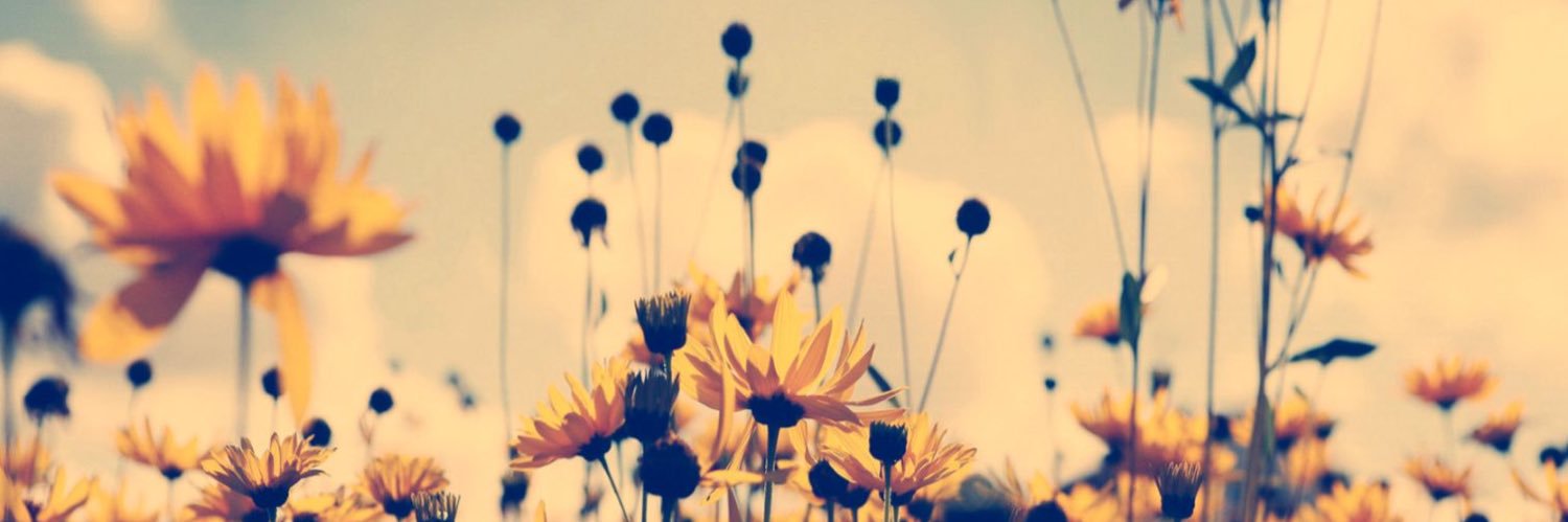 AFuffi's profile banner image