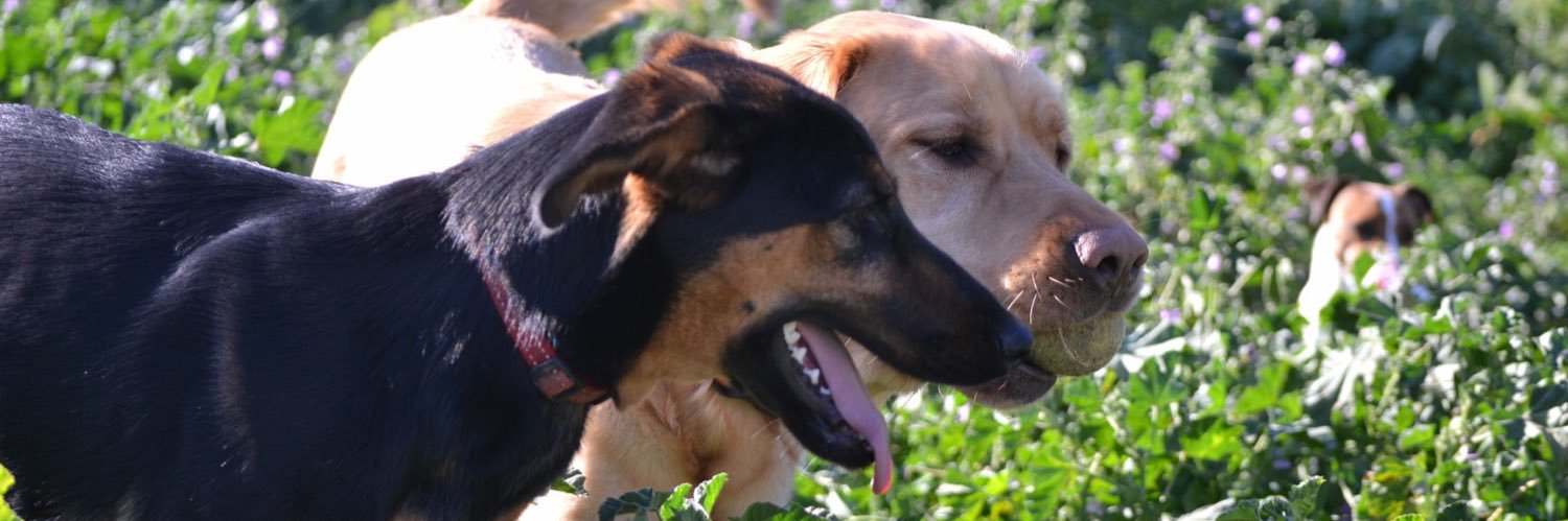 SeebergerS's profile banner image