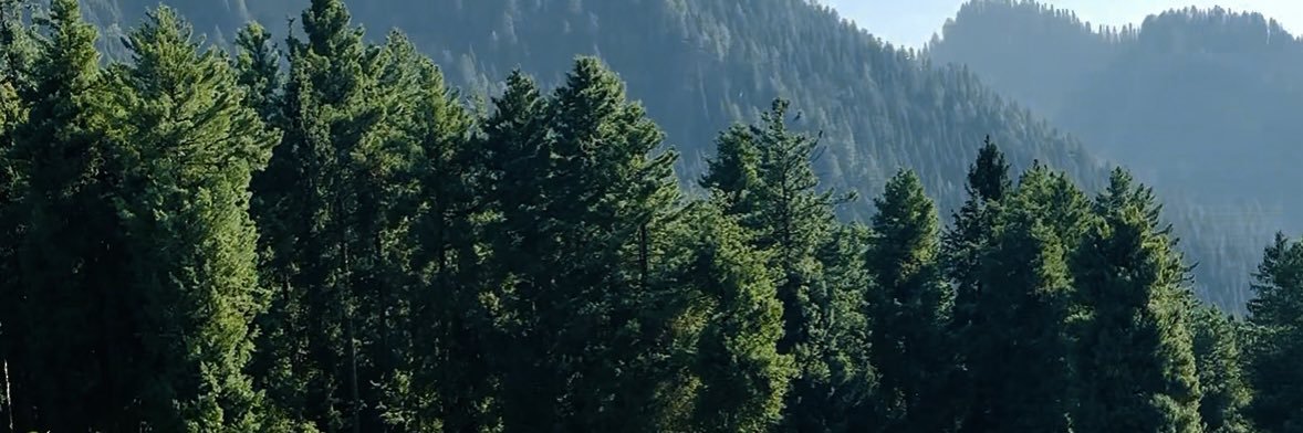 ShariqueAhmad4's profile banner image
