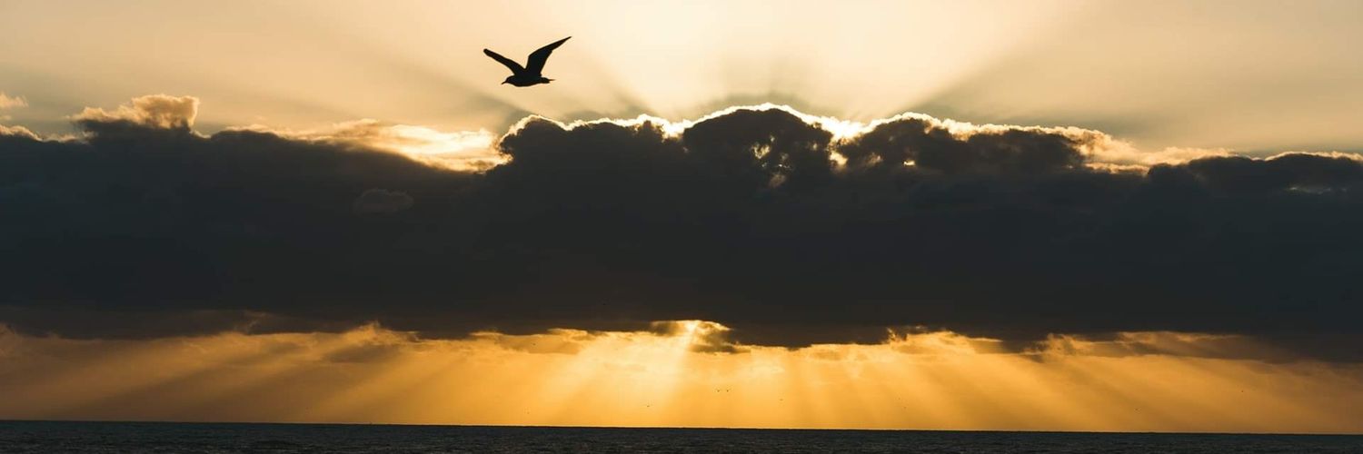 belthazor_za's profile banner image