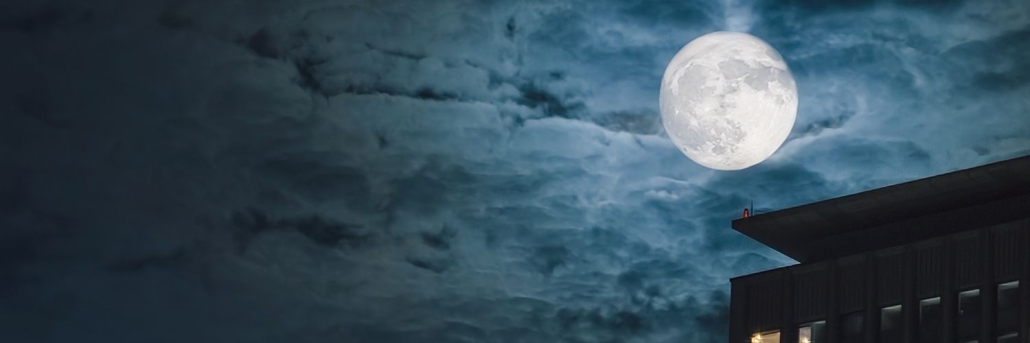 BeTheBoe's profile banner image