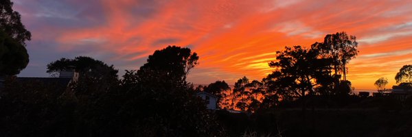 mw_fleming Profile Banner