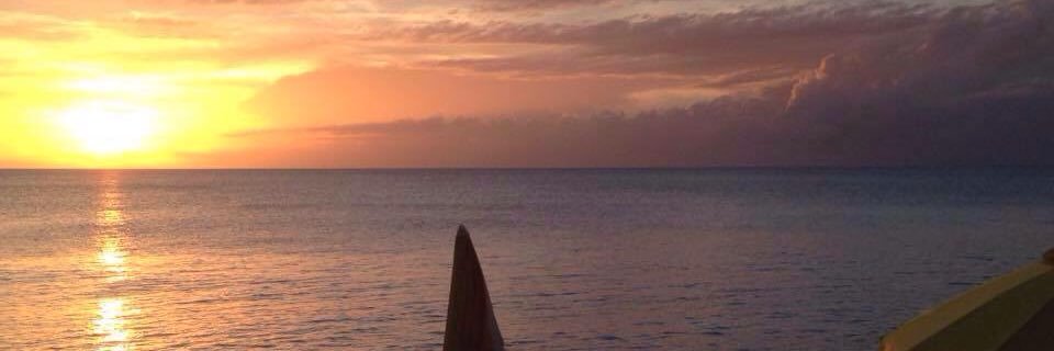 CassidyBreer's profile banner image