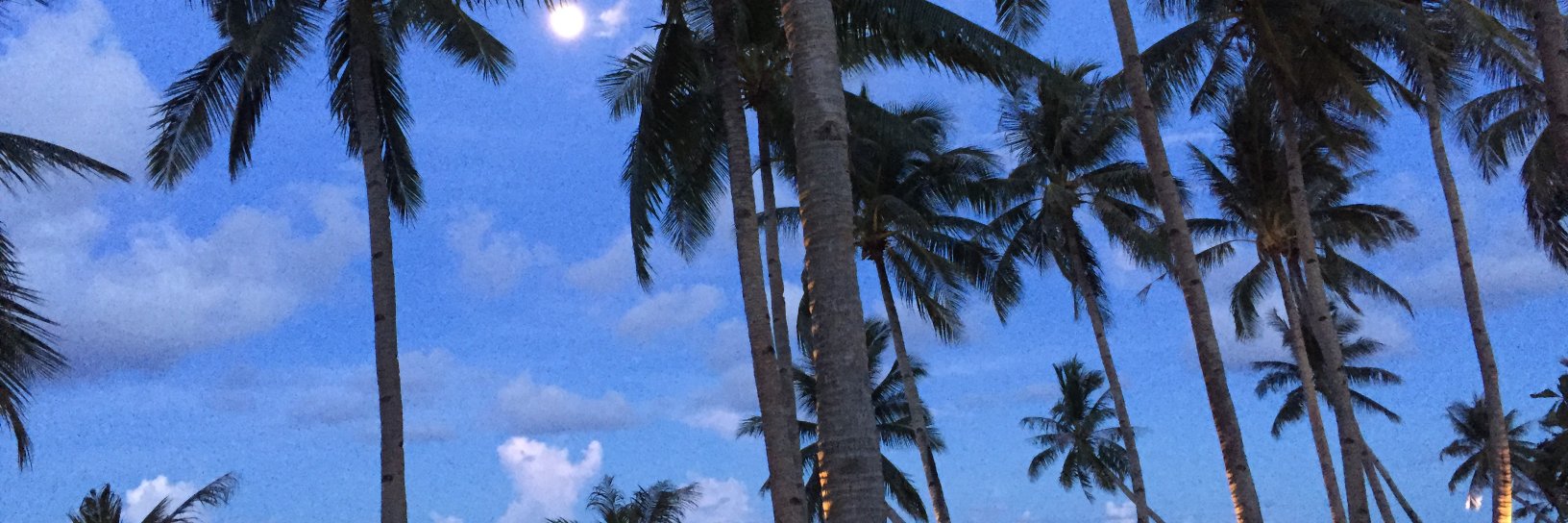 MonsodTami's profile banner image