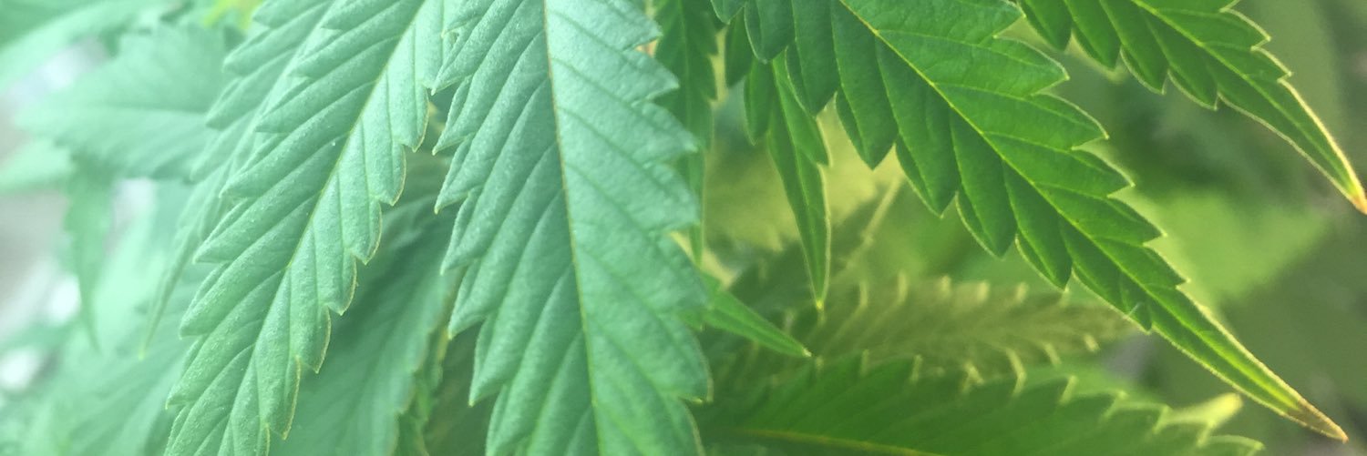 mike_jarrell's profile banner image