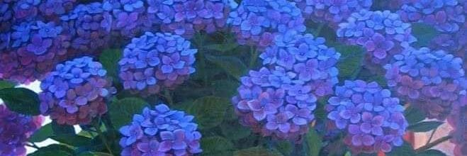 LieveSmolders's profile banner image