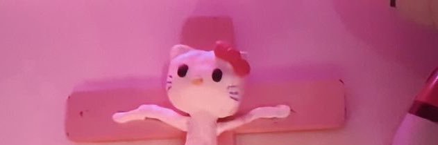 helloklitty___'s profile banner image