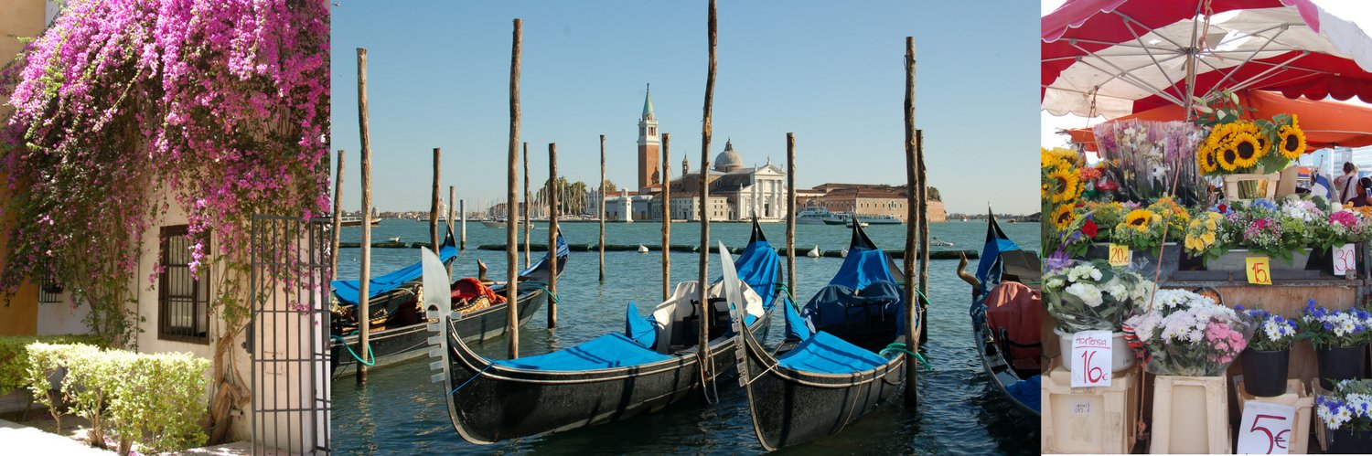 Barbara Haeffner banner