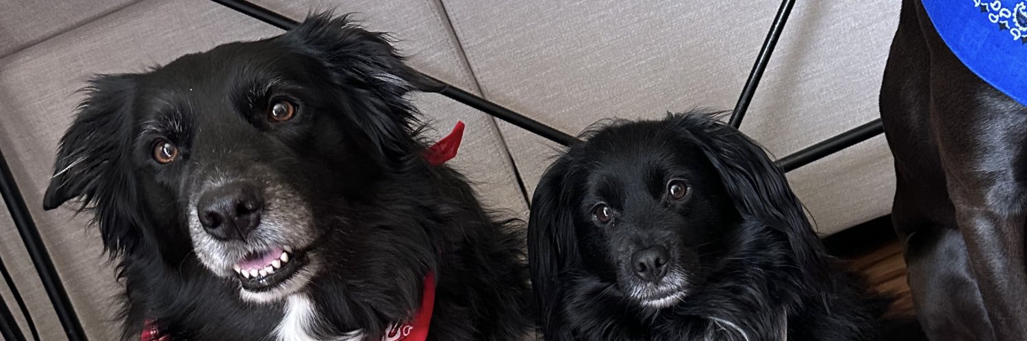 lilyanator's profile banner image