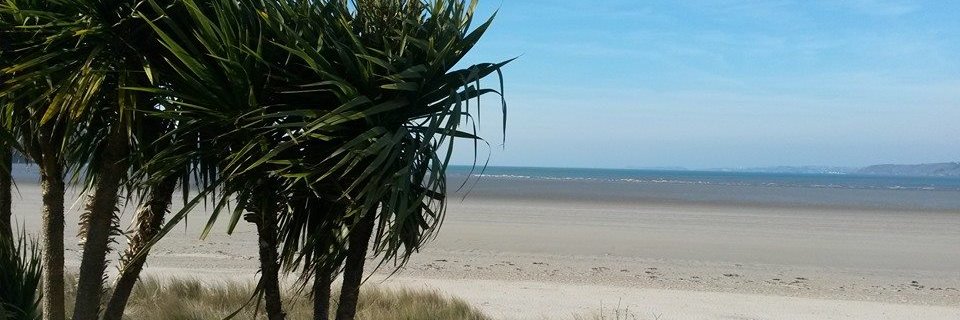 Luiggi Sansonetti banner