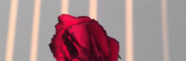 Rhmawd's profile banner image