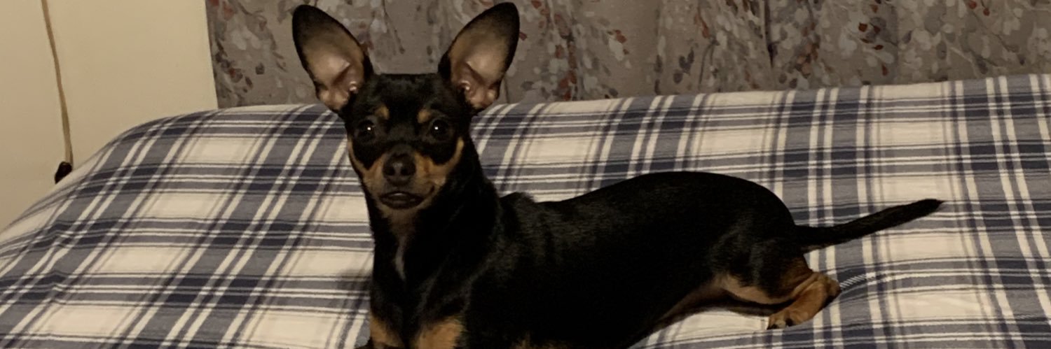 lpnjune0's profile banner image