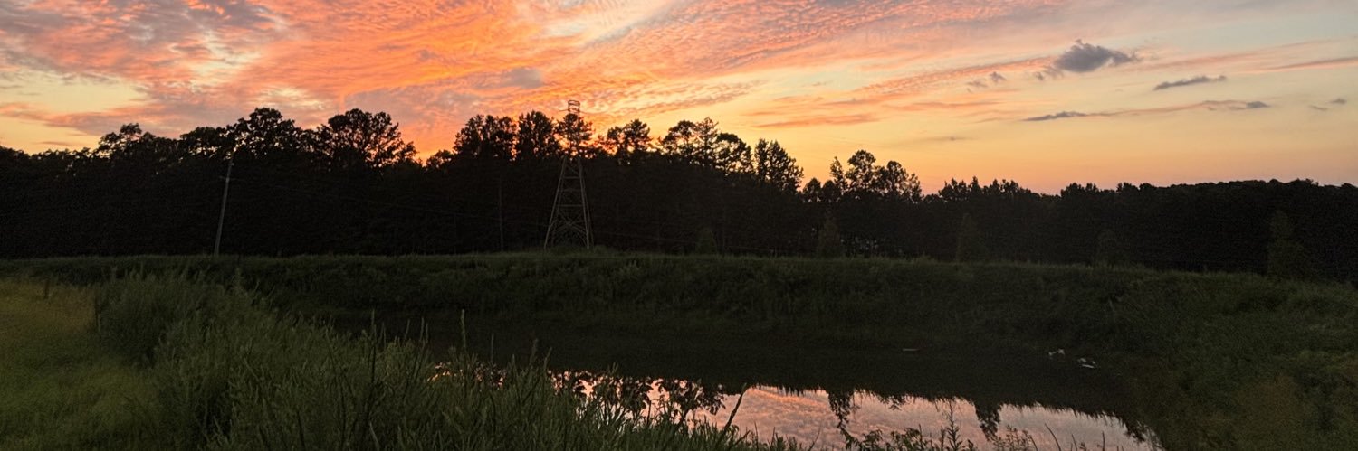 CammieAppling's profile banner image