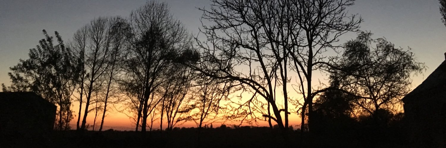 VianneyLebasque's profile banner image