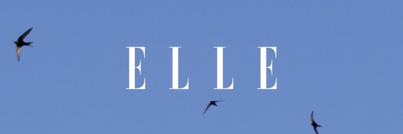 EvaPlatini's profile banner image