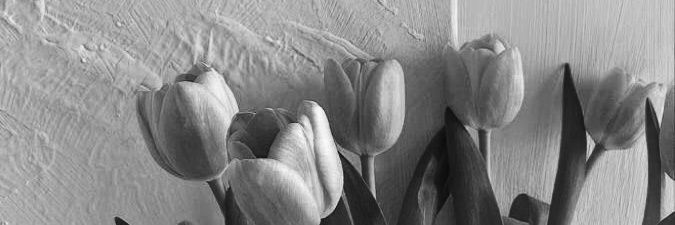 simplyesteph's profile banner image