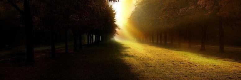 Dmitry Sobepanek banner