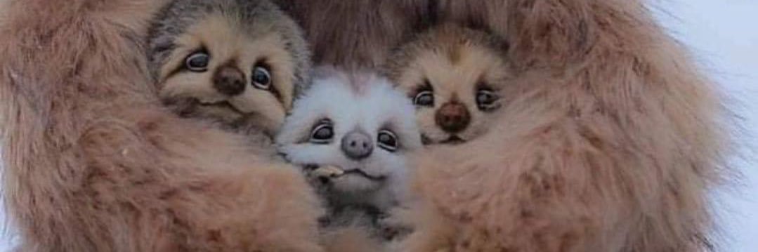 MaddawgManpants's profile banner image