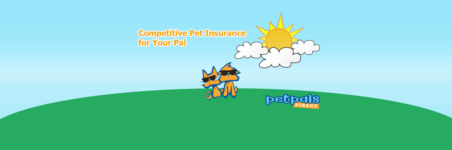 Petpalsdirect's profile banner image