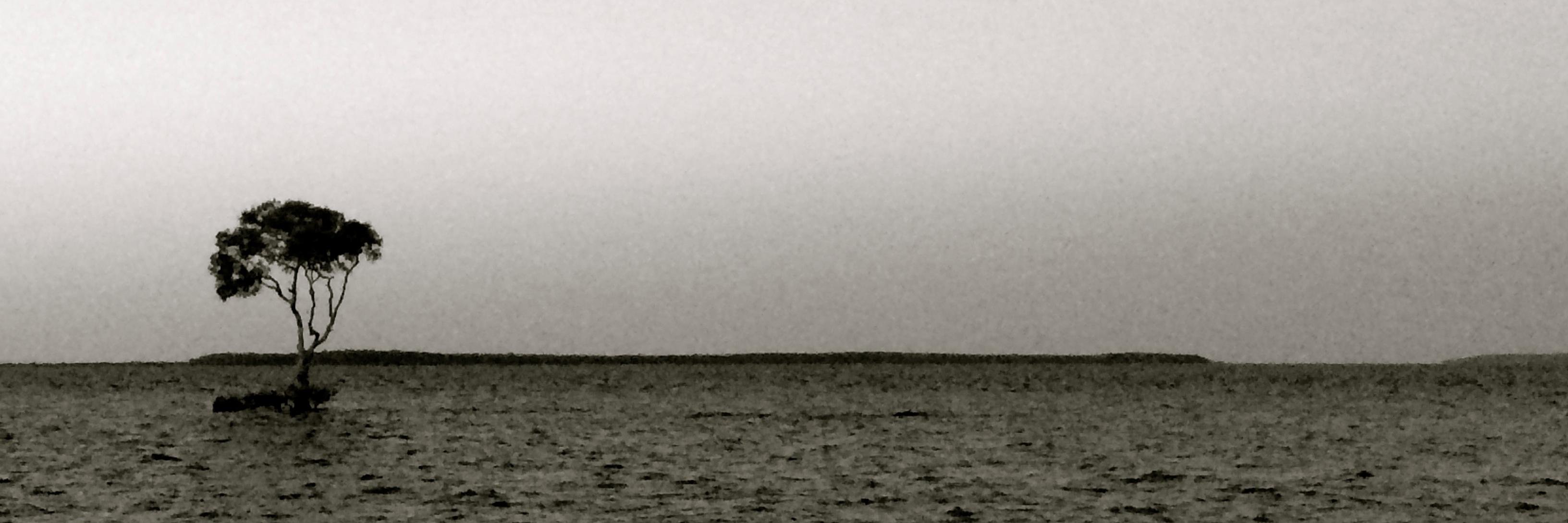 dalerankine's profile banner image