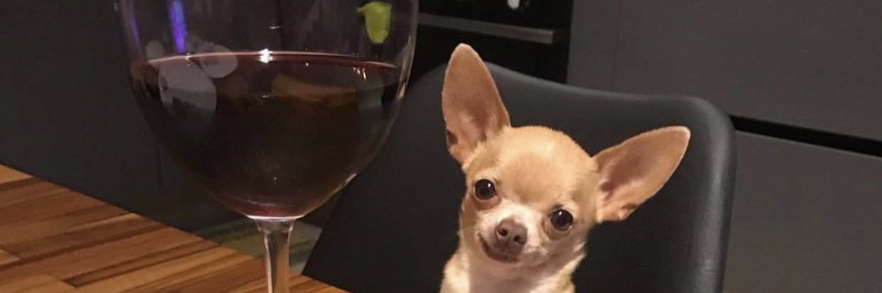 Mexi421's profile banner image