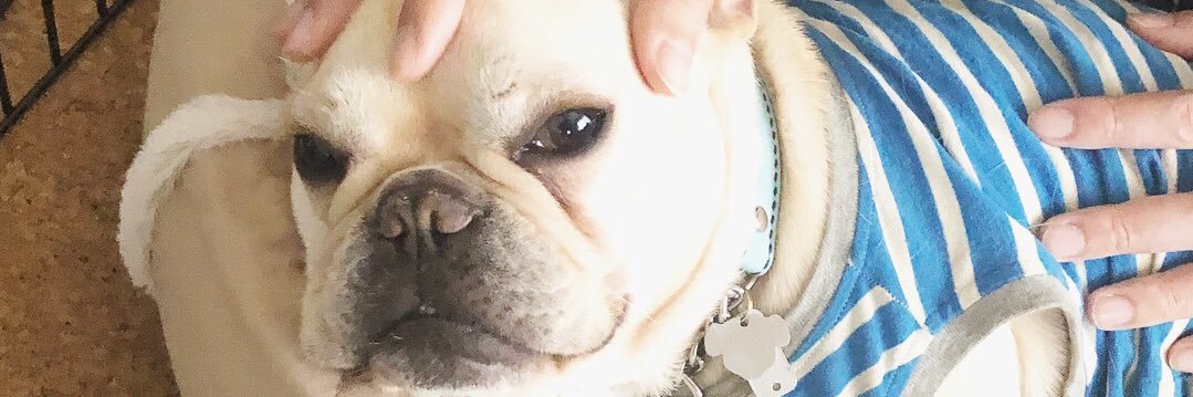 ayu_pon's profile banner image