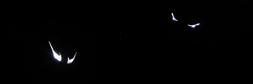 Prashanth Kumar banner