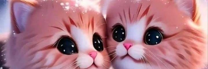 pradeep_chawla's profile banner image