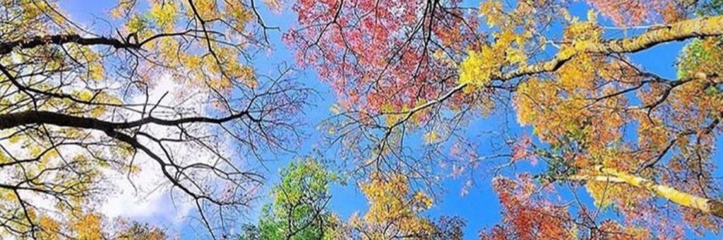 GkmenBlbl's profile banner image