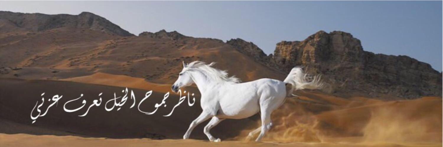 m_n_o_4's profile banner image
