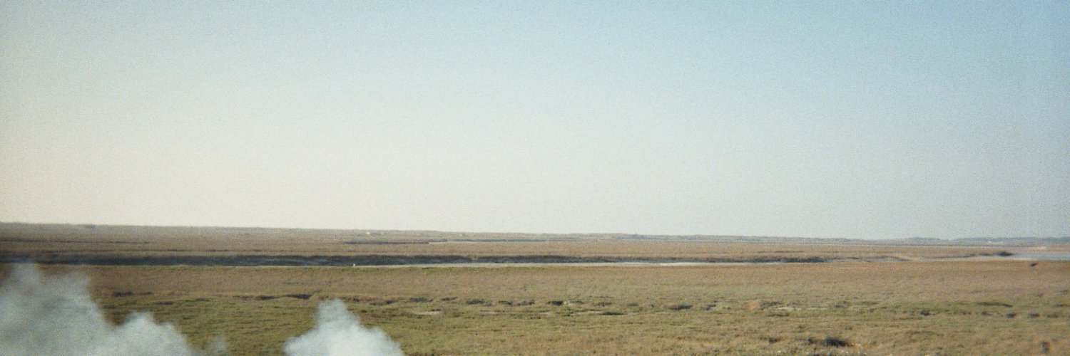 Noémie M banner