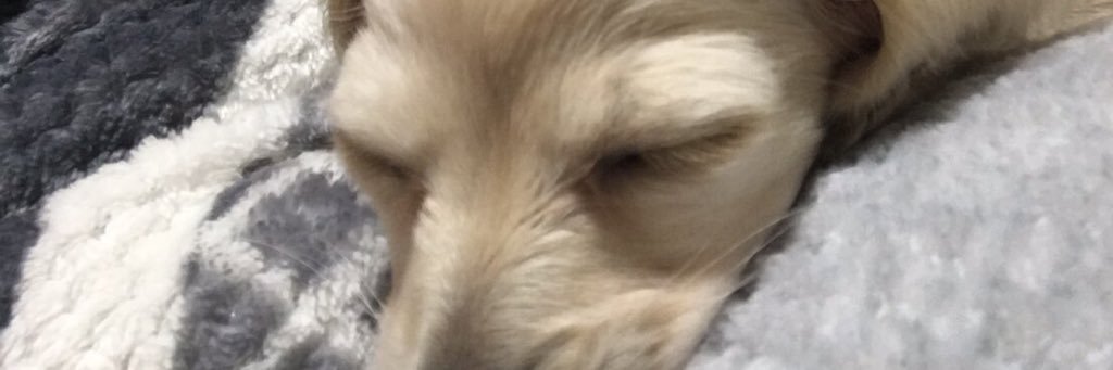 asid_black's profile banner image