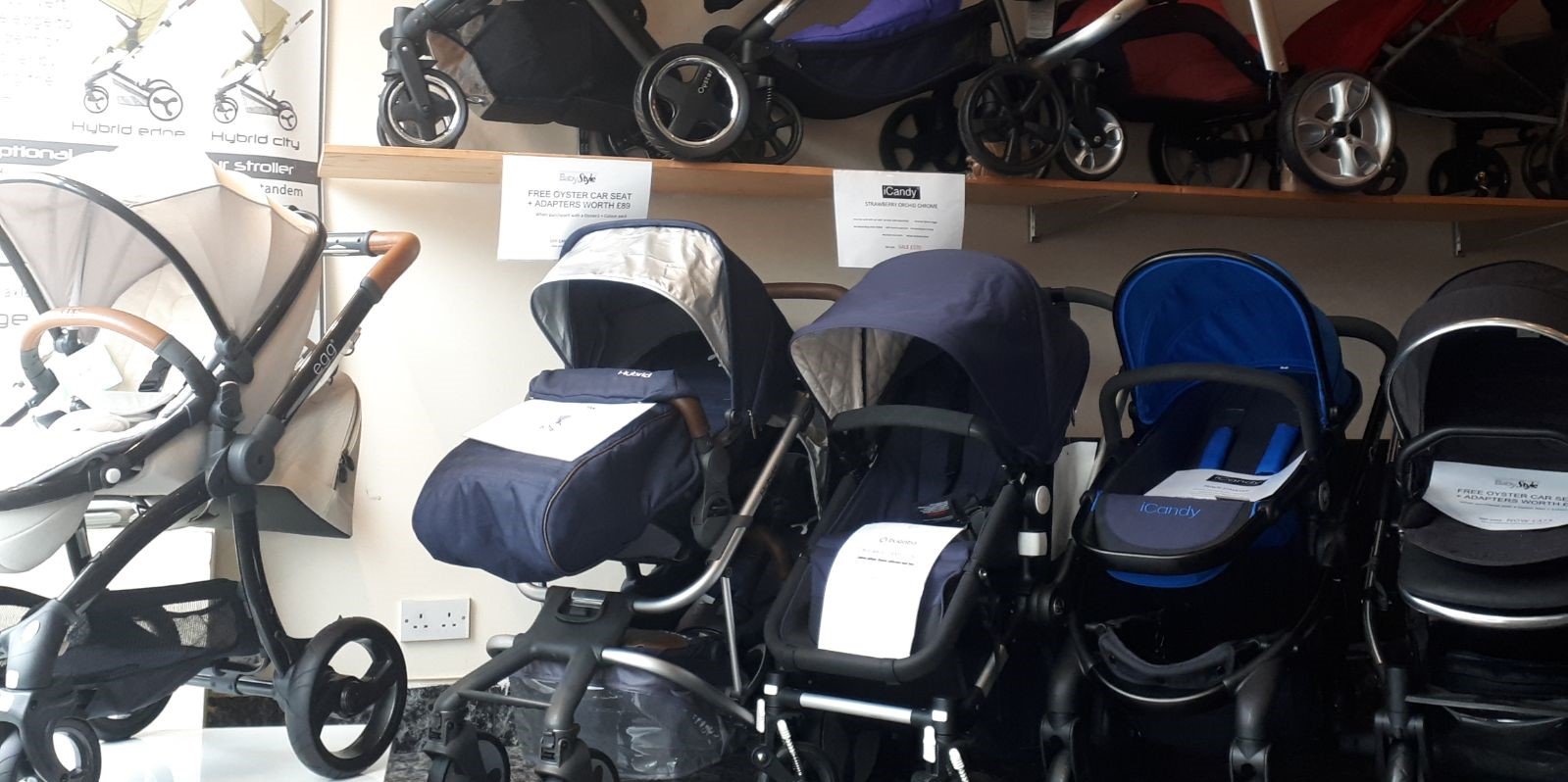 Precious Sprouts banner