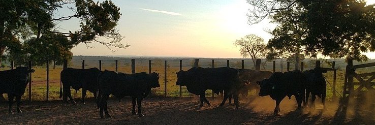 Hyberville's profile banner image