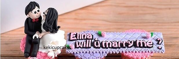 elynaaurii's profile banner image