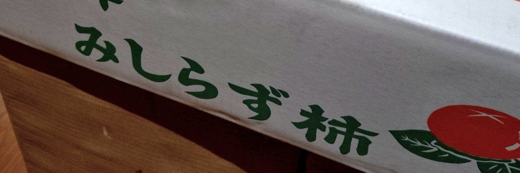 シン・harukickMM🏉 banner