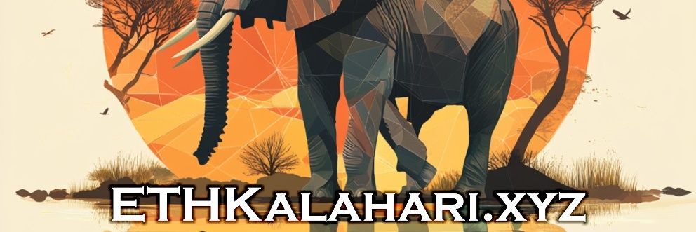 NFTsBotswana's profile banner image